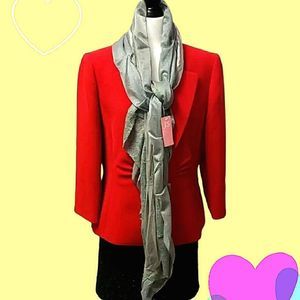 NWT 💟 J.S Silver Sheer/Knitted Scarf